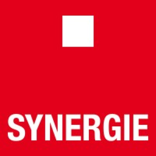 SYNERGIE T.T. E.T.T., S.A.U.